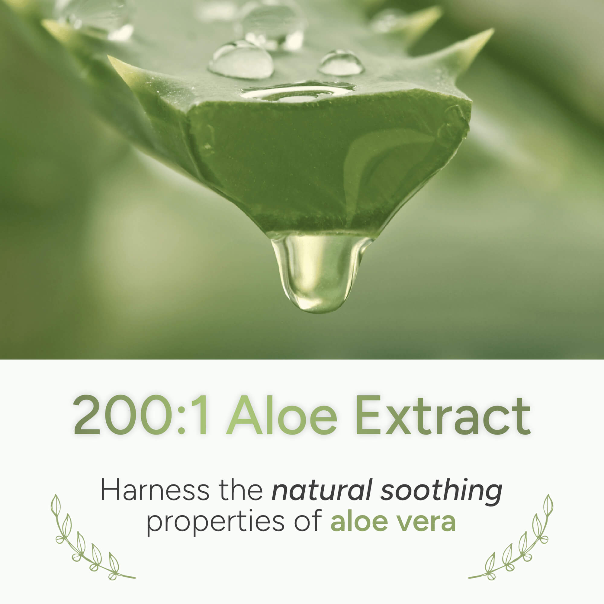 Aloepath® | Bladder Health Support with Aloe Vera - Natural Approach