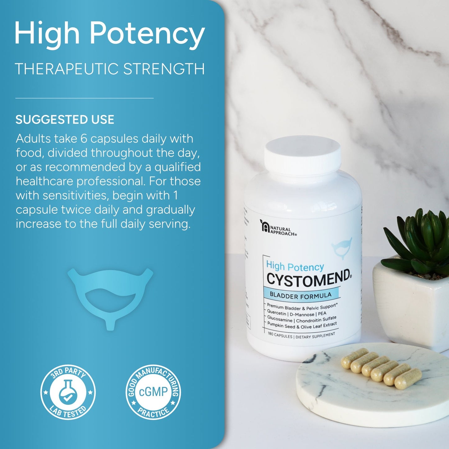 Cystomend® | Bladder Health Support - Natural Approach