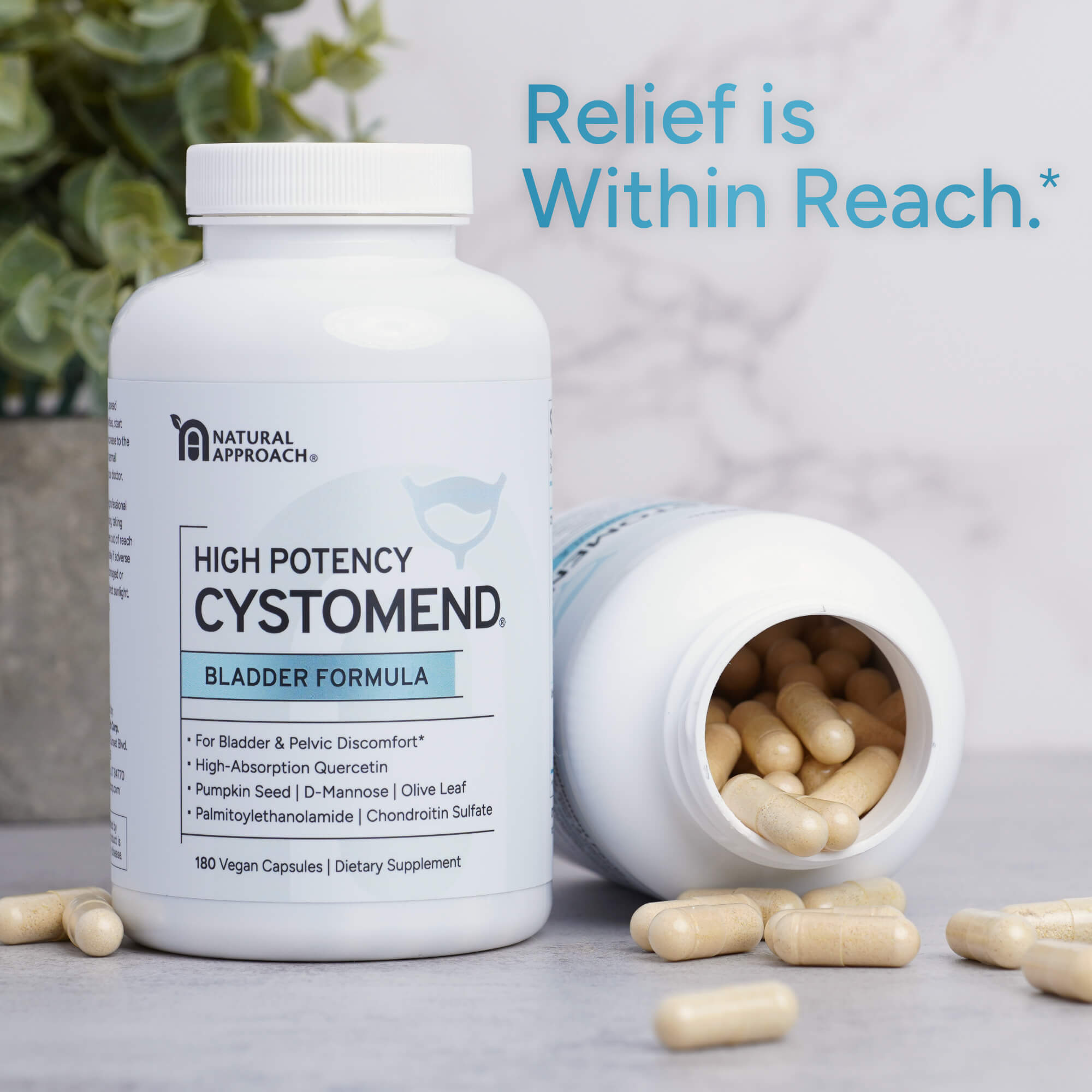 CystoMend® | Bladder Health Support