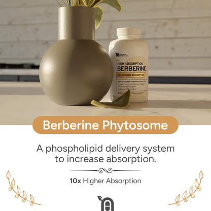 Berberine | 10x Higher Absorption