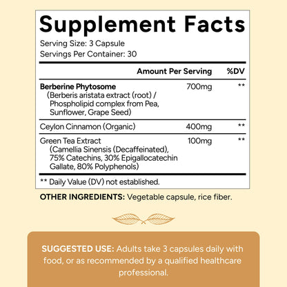 Berberine | 10x Higher Absorption