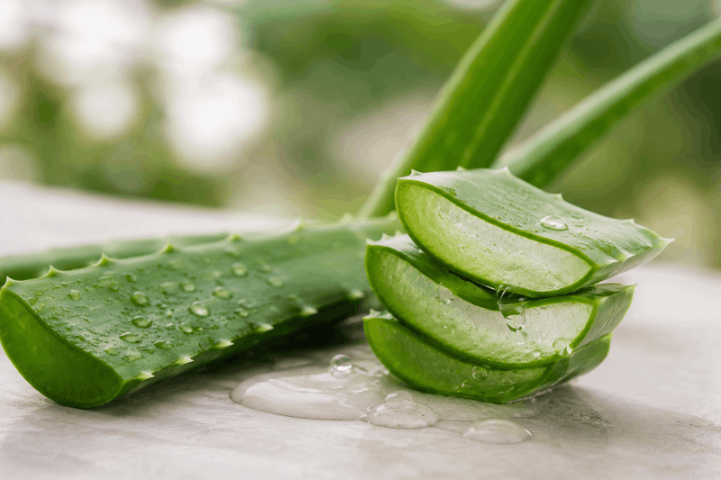 Fresh aloe vera leaves cut open to reveal the clear inner gel, with water droplets on a light stone surface.