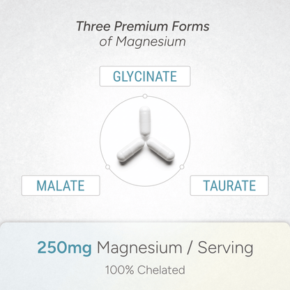 Magnesium Complex with Glycinate, Malate, and Taurate (90 Capsules) - Natural Approach