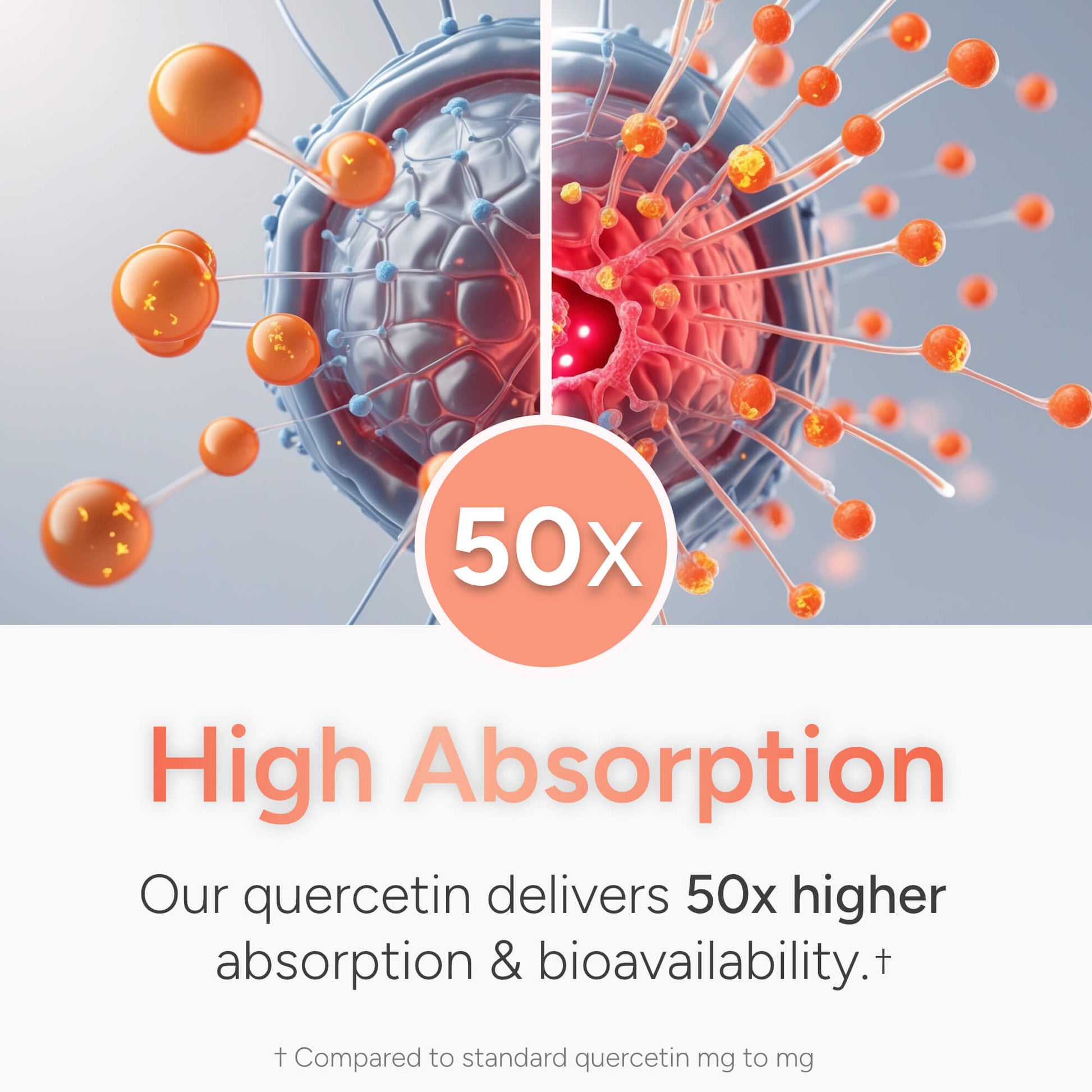 Quercetin | 50x Higher Absorption - Natural Approach