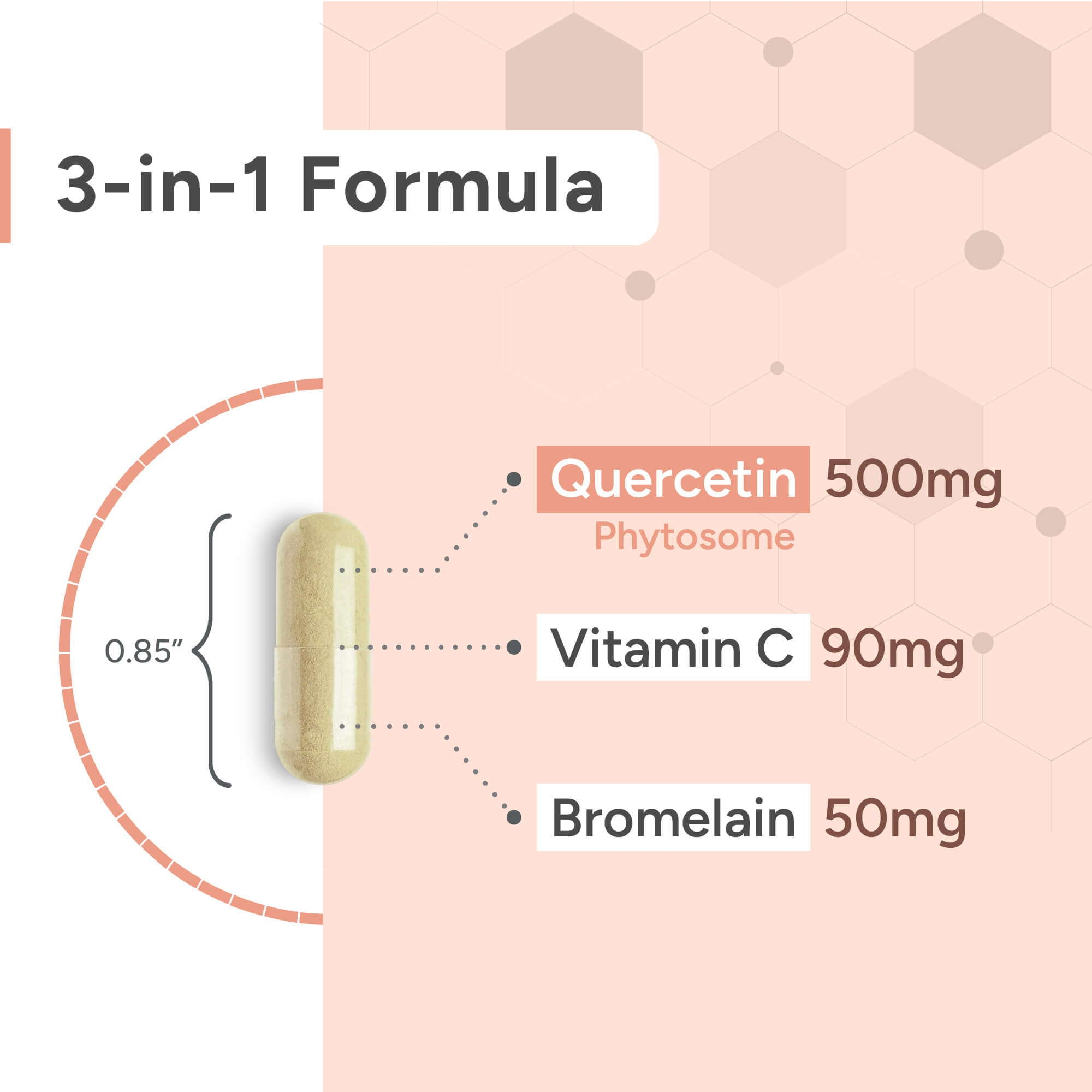 Quercetin | 50x Higher Absorption