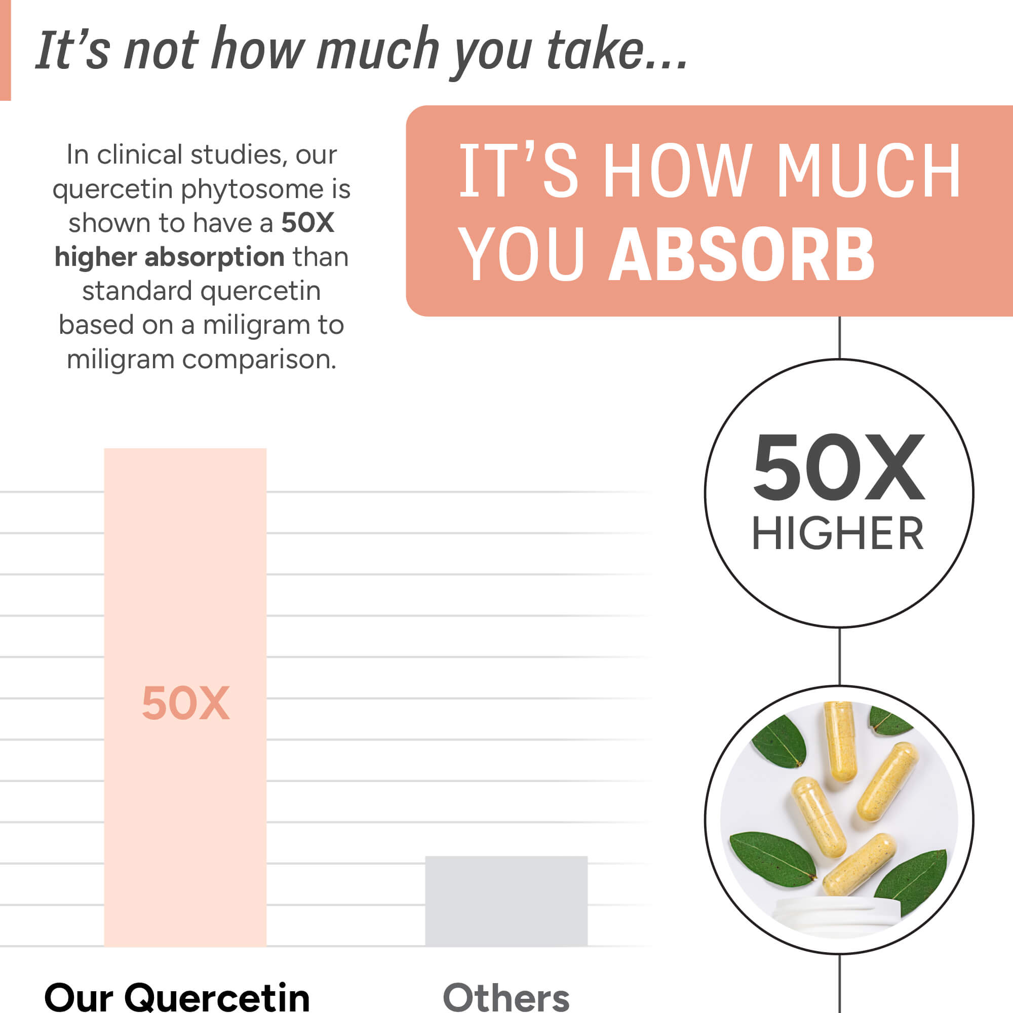 Quercetin | 50x Higher Absorption