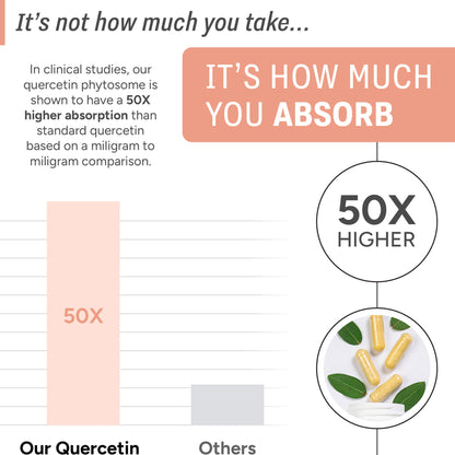 Quercetin | 50x Higher Absorption