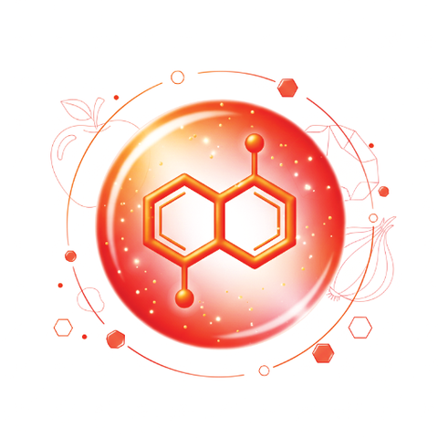 Quercetin Phytosome